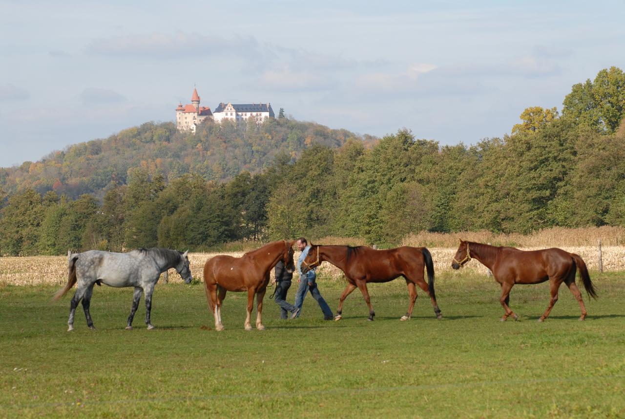 Land- Und Aktivhotel Altmuehlaue บาด โรดัค ภายนอก รูปภาพ